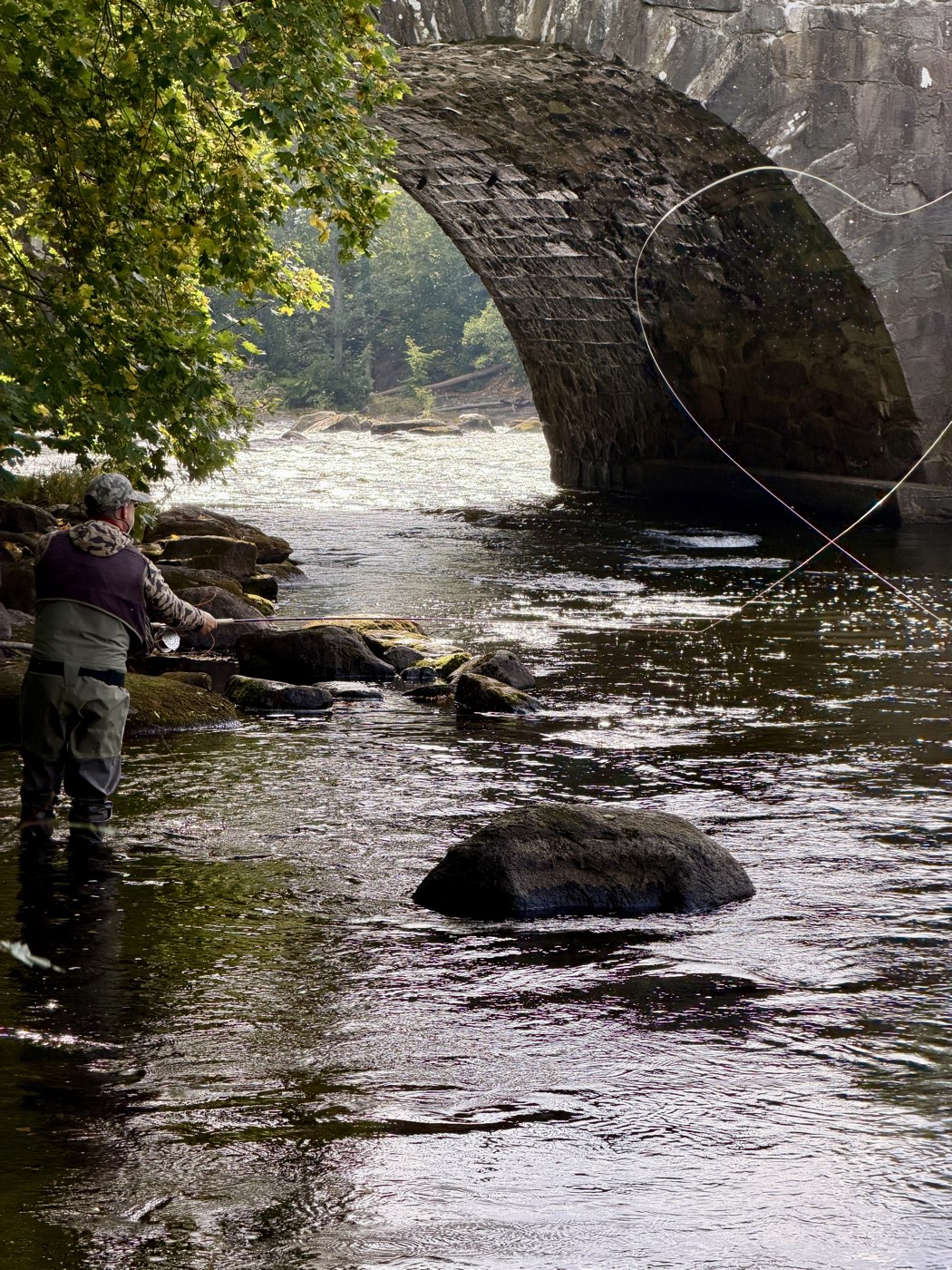 Fly fishing below an old stone bridge on the Mörrum river