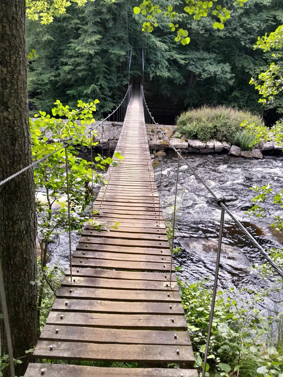The River at Mörrum River House